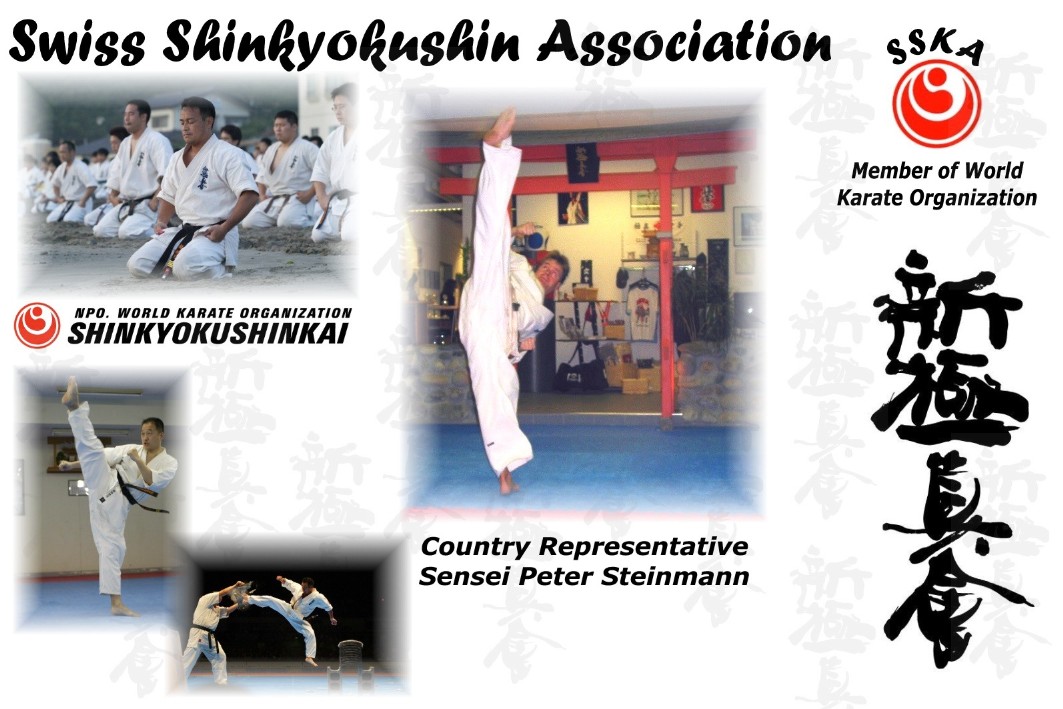 Titelseite-Hompage-Shinkyokushin_3