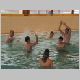 IKKA_Weih_2005_021_t
