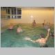 IKKA_Weih_2005_104_t