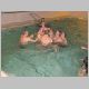 IKKA_Weih_2005_125_t