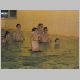 IKKA_Weih_2005_135_t
