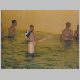 IKKA_Weih_2005_146_t