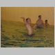 IKKA_Weih_2005_158_t