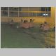 IKKA_Weih_2005_163_t
